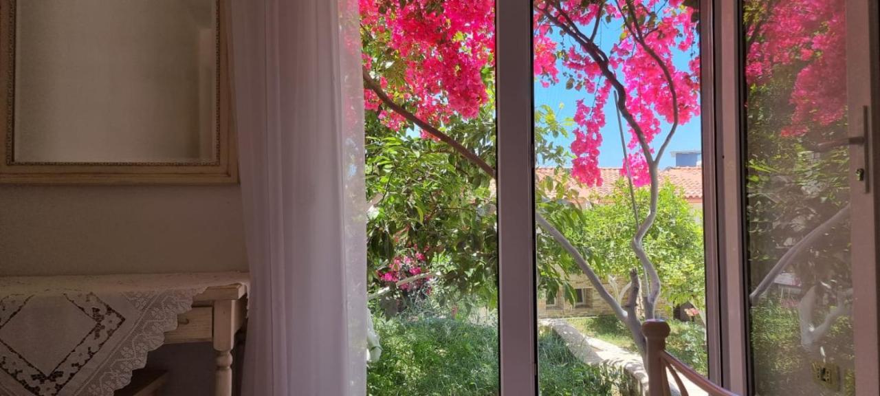 Vila 15 Bougainville ساراندا المظهر الخارجي الصورة
